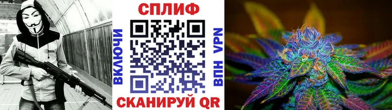Купить  Ликино-Дулёво  Конопля сатива 